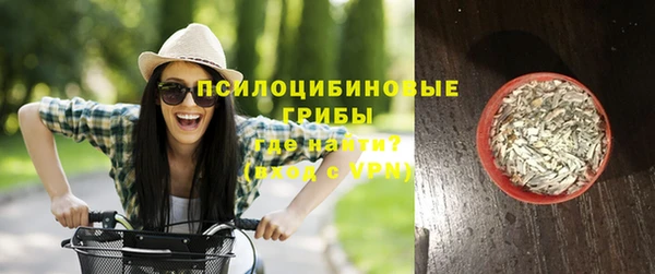 крисы Струнино