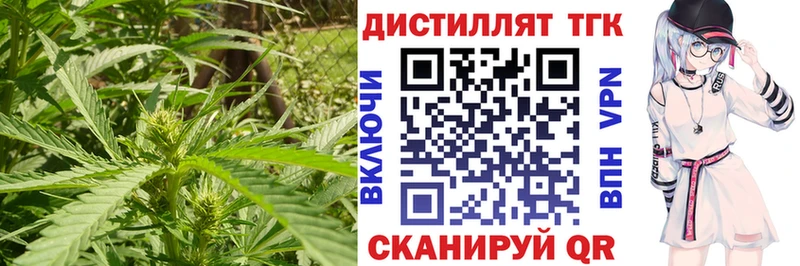 Купить закладки  Черепаново  ТГК THC oil 